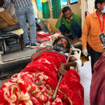 NGO rescue centre in Gurgaon
